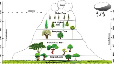 高原地帶都有哪些? 高原地帶的生物多样性令人驚嘆。