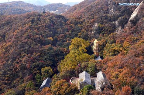 天津的山川與人文風情